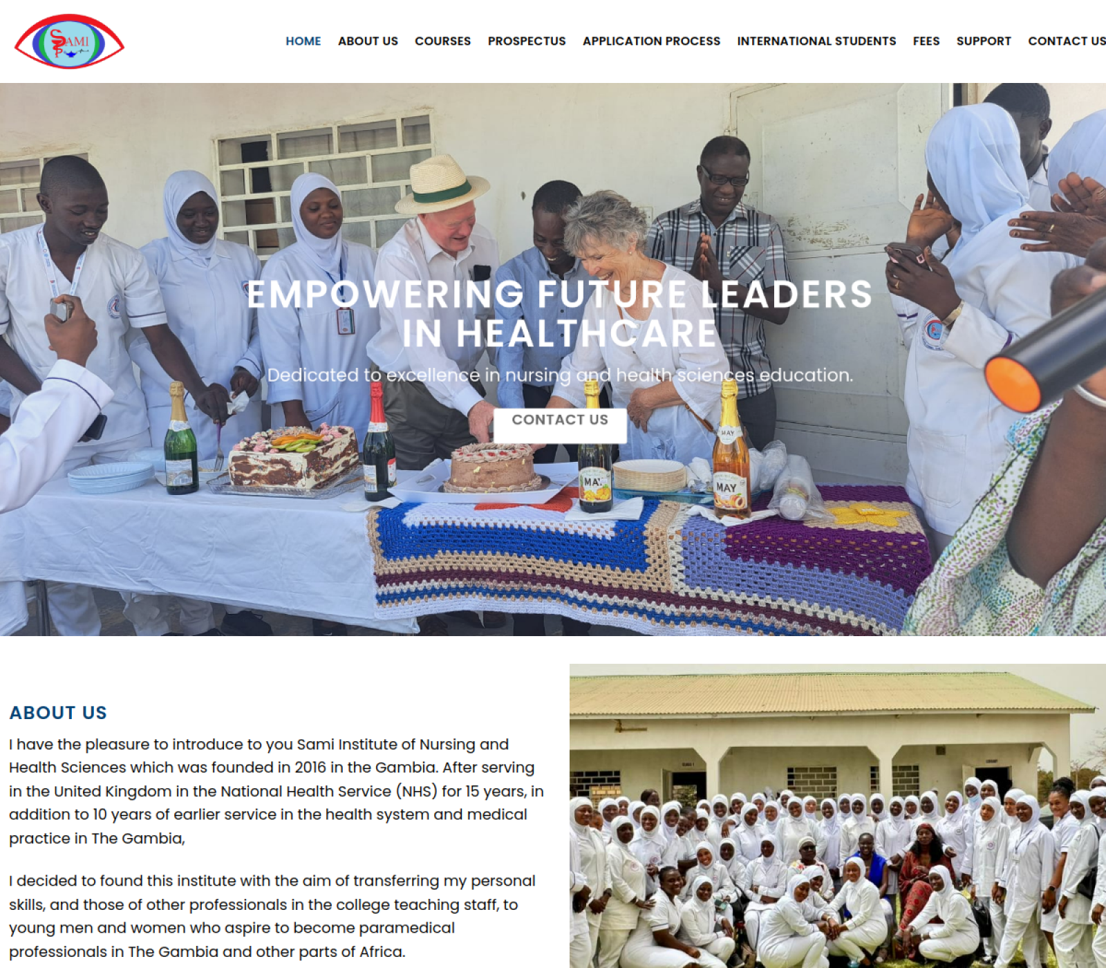 Screenshot of Sinahs website