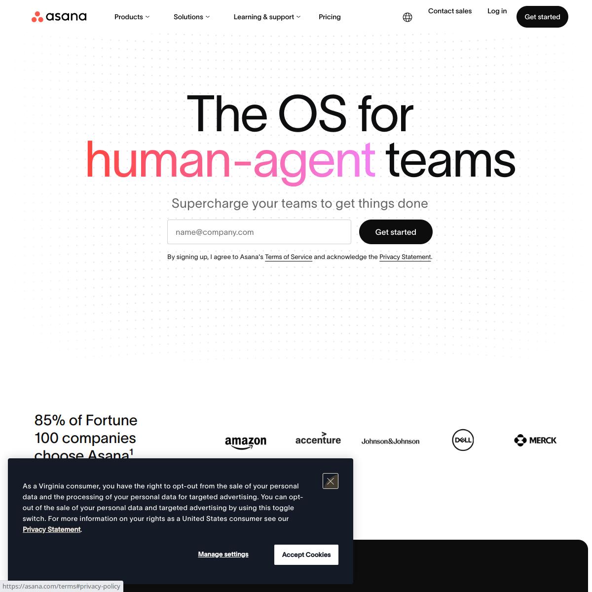 Asana product screenshot