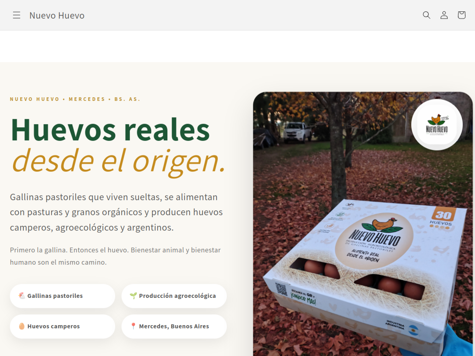 Preview del hero de Nuevo Huevo