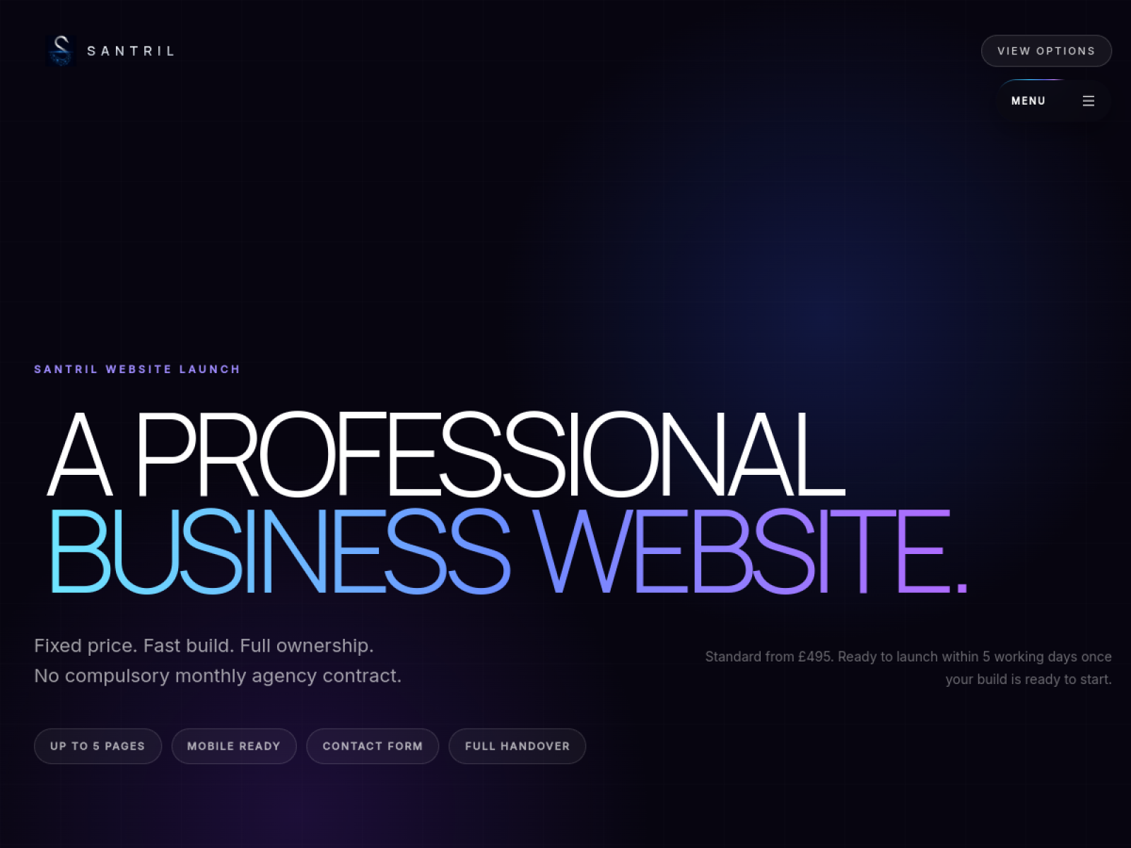 Website Launch live website preview