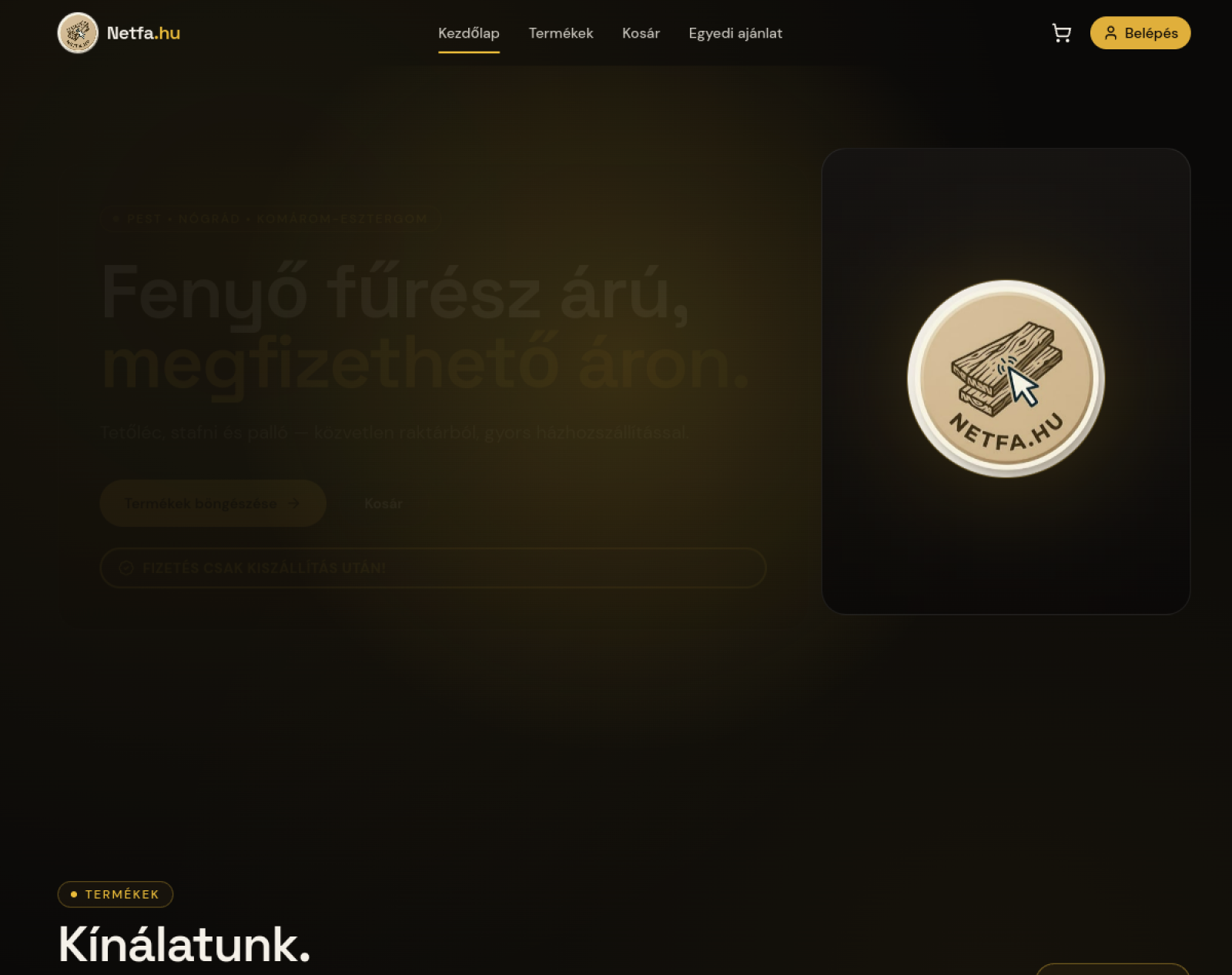 NETFA weboldal előnézete