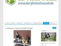 Hundespiele - Warum sind Spiele wichtig? Der Pfoten Freund