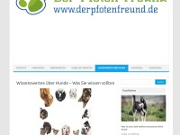 Wissenswertes über Hunde - Was Sie wissen sollten