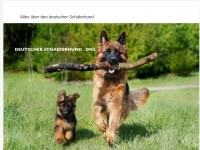 schutzdienst deutscher schäferhund