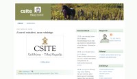 csite