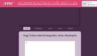 Nagy Erika esküvői fotográfus