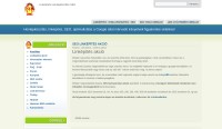 Option Bt Honlapkészítés Linképítés SEO