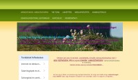 Tollvonás Webszövegírás, Linképítés