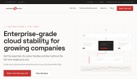 Professional IT Services