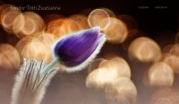 Tothzsu