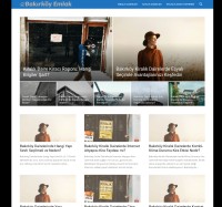 bakirkoyemlak.com