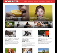dogsbites.com