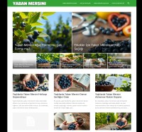 yabanmersini.net