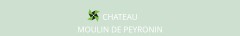 Détails : chateau moulin de Peyronin