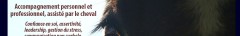 Détails : Formation equicoaching Horse coaching - Devenir equicoach
