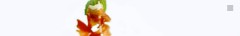 CUISINE A DOMICILE