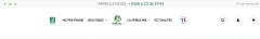 Spiruline artisanale en brindilles