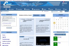 vignette du site