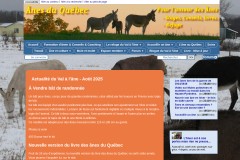 vignette du site