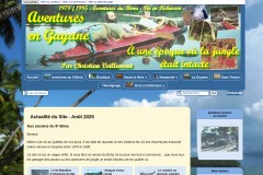 vignette du site