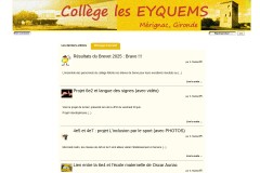 vignette du site