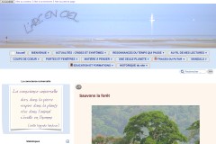 vignette du site