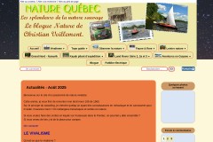 vignette du site