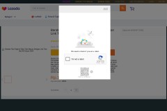 vignette du site