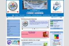 vignette du site