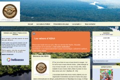vignette du site