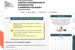 vignette du site