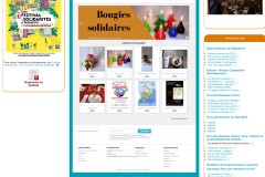 vignette du site