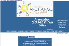 vignette du site