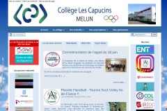 vignette du site