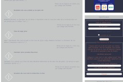 vignette du site