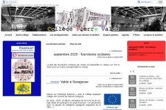 vignette du site
