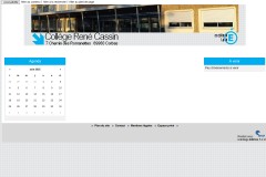 vignette du site