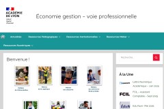 vignette du site
