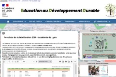 vignette du site