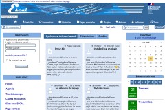 vignette du site