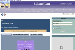 vignette du site