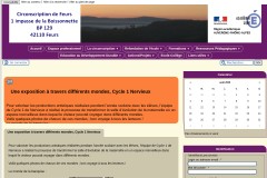 vignette du site