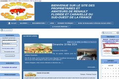 vignette du site