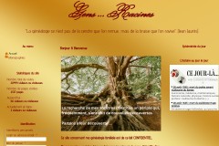 vignette du site
