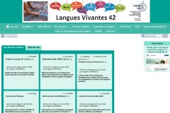 vignette du site