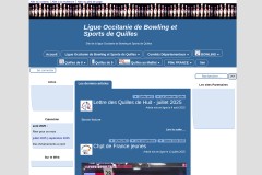 vignette du site