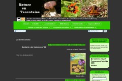 vignette du site