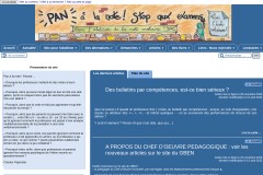 vignette du site