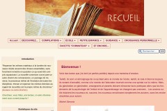 vignette du site