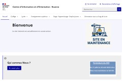 vignette du site